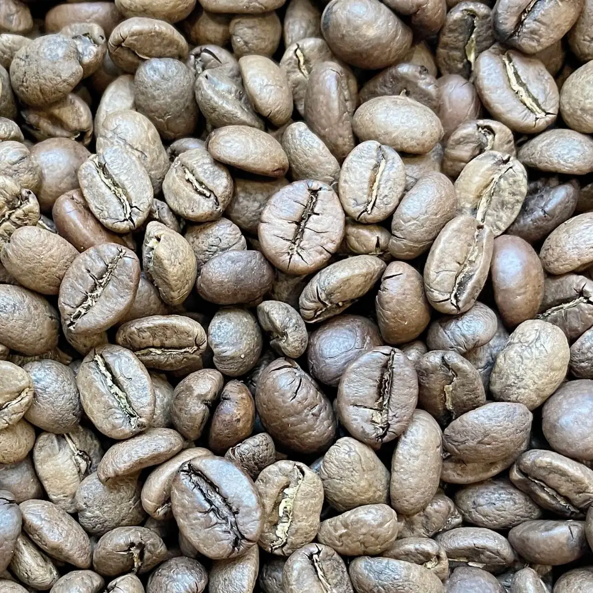 قهوه میکس 70 30 ترکیبی عربیکا و روبوستا-دانه-دان-پودر اسپرسو-قیمت-خرید-آنلاین